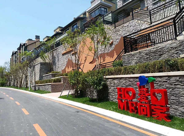 惠(huì)斯勒項(xiang)目